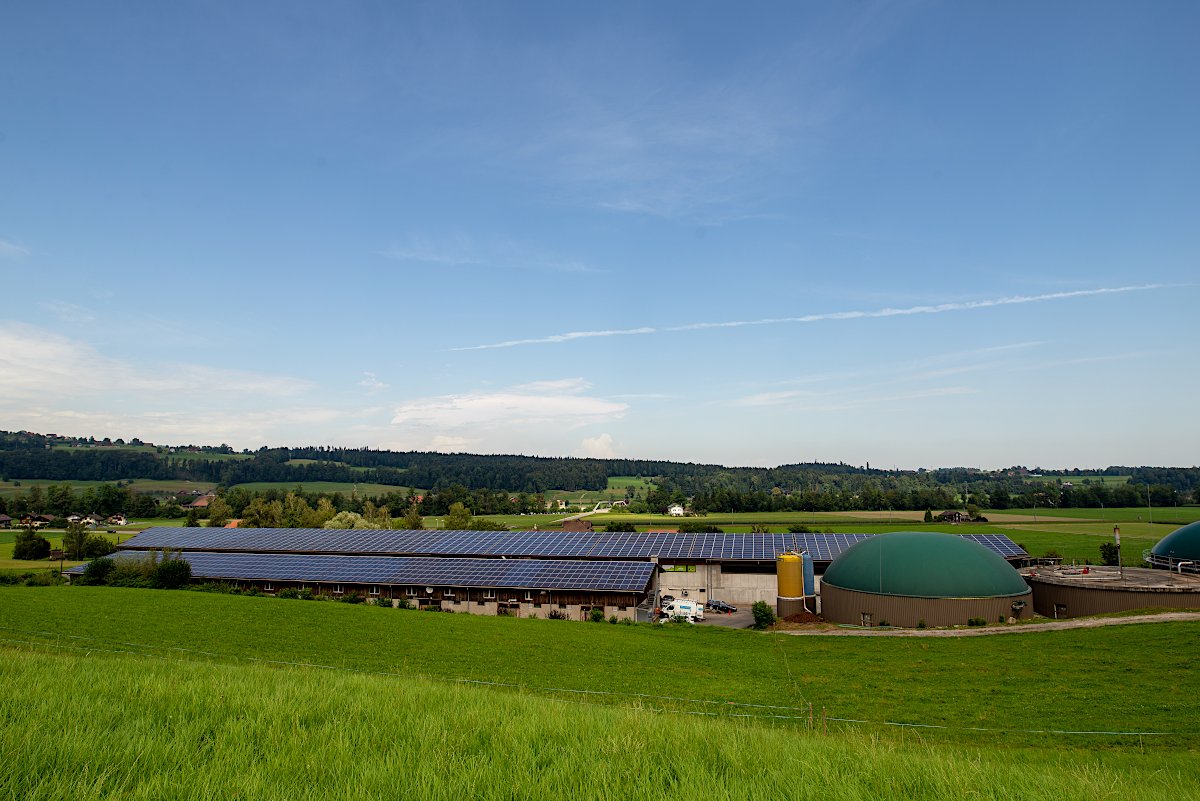 Boxen beim Kompostierwerk Blatten